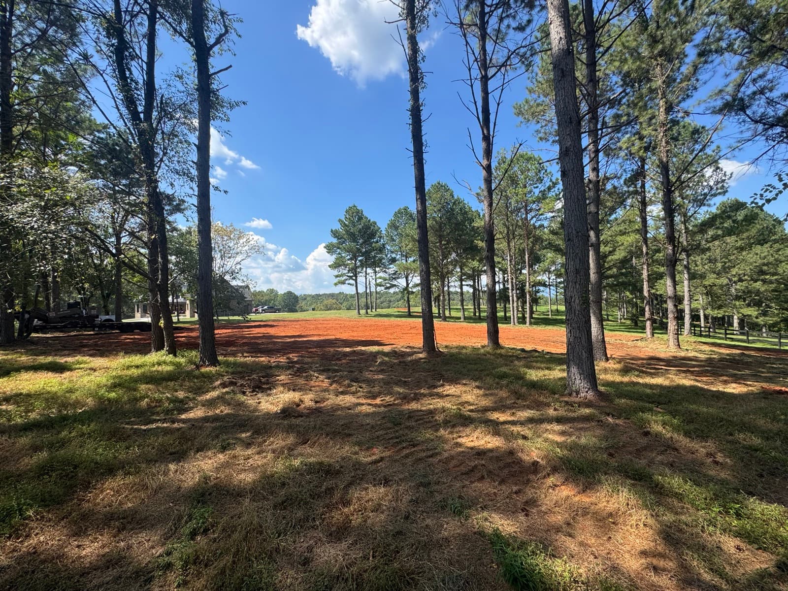 Cleared and leveled red clay pad among the pines