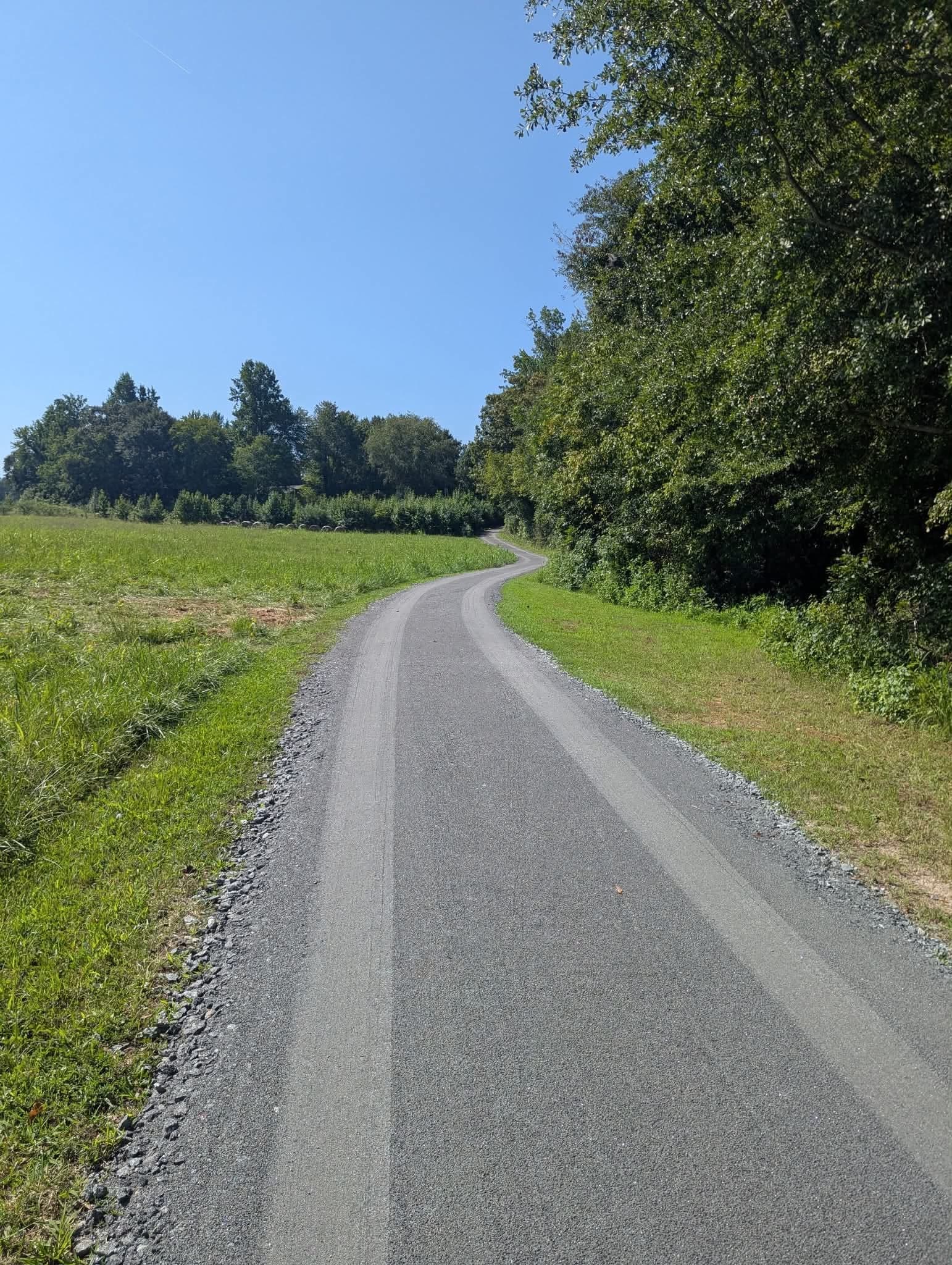 Freshly graveled rural driveway